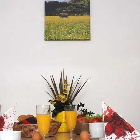 Appartamento Haus Antonius - Bergbahnticket Von Mai Bis November Inklusive! *