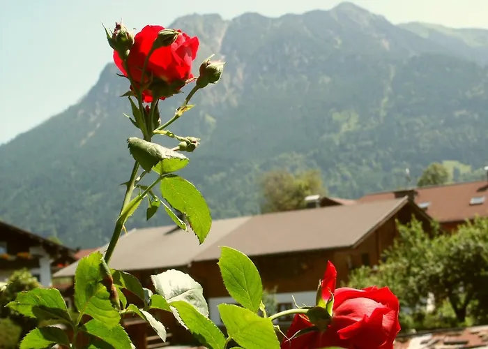 Haus Antonius - Bergbahnticket Von Mai Bis November Inklusive! *
